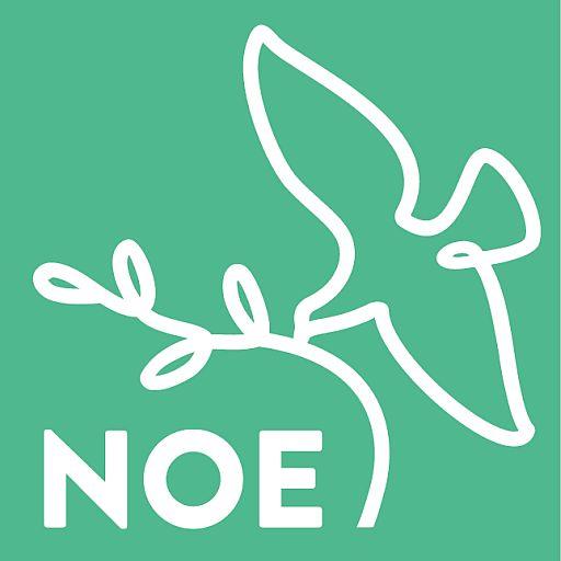 TV Noe logo